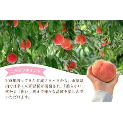 ふるさと納税 韮崎市 桃 2kg (5〜8玉) 山梨県韮崎市 【令和8年産 先行受付】 数量限定 季節限定の画像