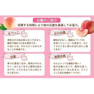 ふるさと納税 韮崎市 桃 2kg (5〜8玉) 山梨県韮崎市 【令和8年産 先行受付】 数量限定 季節限定の画像