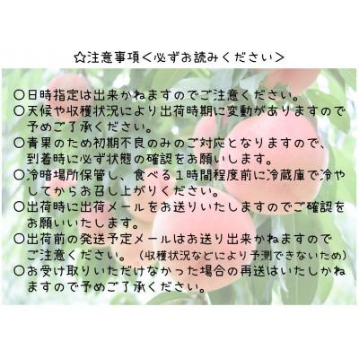 ふるさと納税 韮崎市 桃 2kg (5〜8玉) 山梨県韮崎市 【令和8年産 先行受付】 数量限定 季節限定の画像