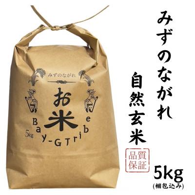 ふるさと納税 沼田市 [ みずのながれ ]令和7年産 群馬県産 沼田のこしひかり 玄米 5キロ コシヒカリ 5kg お米