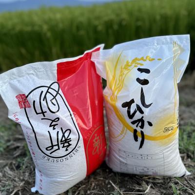 ふるさと納税 五泉市 [令和7年産米]新潟県産コシヒカリ5kg+新之助5kg(計10kg) 食べ比べセット