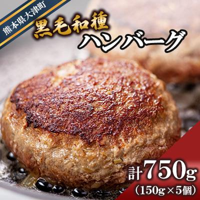 ふるさと納税 大津町 黒毛和種ハンバーグ150g×5個 ブランド牛[有限会社トップルーフ][熊本県大津町]