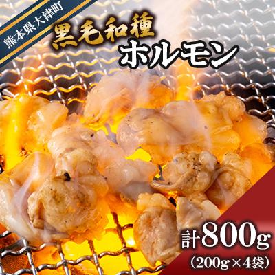 ふるさと納税 大津町 黒毛和種ホルモン800g(200g×4袋) [有限会社トップルーフ][熊本県大津町]