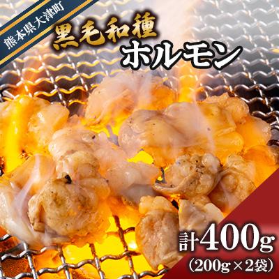 ふるさと納税 大津町 黒毛和種ホルモン400g(200g×2袋) [有限会社トップルーフ][熊本県大津町]