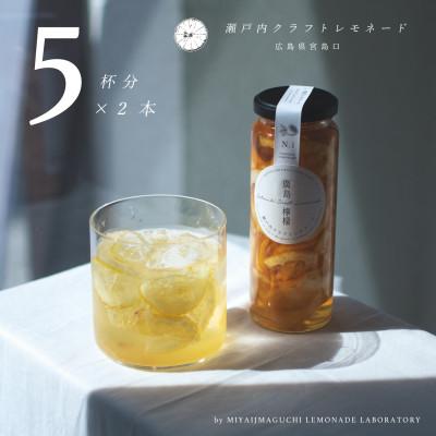 ふるさと納税 廿日市市 [広島・宮島口]廣島クラフトレモネード2本ギフトセット 1本で5杯分