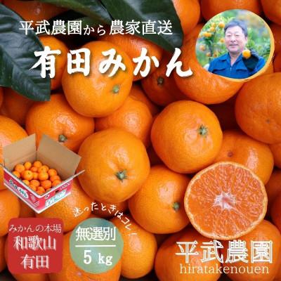ふるさと納税 広川町 農家直送!有田みかん5kg≪無選別(秀品・訳あり品・サイズ混合≫ 平武農園の有田ブランド田口みかん