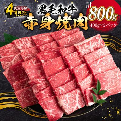ふるさと納税 日南市 [4等級以上]宮崎県産黒毛和牛赤身焼肉(計800g)(日南)