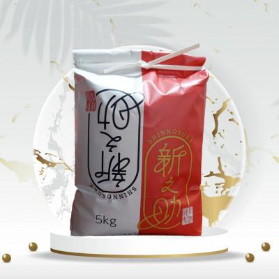 ふるさと納税 五泉市 [新米先行受付]R7年産新潟県五泉市産 [お米ソムリエのお米]新之助 5kg 玄米