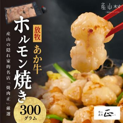 ふるさと納税 産山村 産山の隠れ家的名店「焼肉正」厳選「放牧あか牛 ホルモン焼き」セット