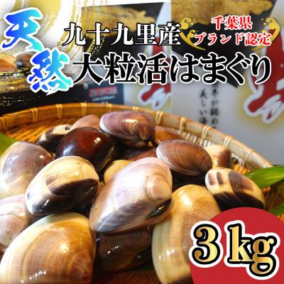 ふるさと納税 山武市 天然大粒活はまぐり3kg|千葉県九十九里産 | 