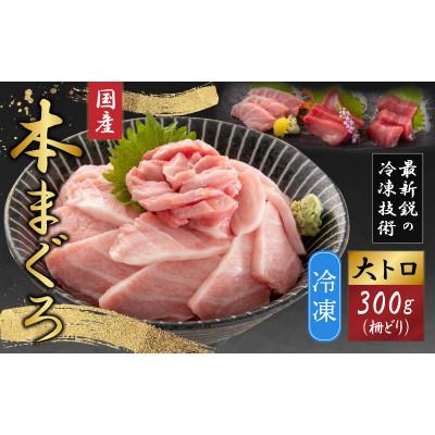 ふるさと納税 福井市 [最新鋭の冷凍技術 刺身用]本まぐろ 大トロ 300g(柵どり)