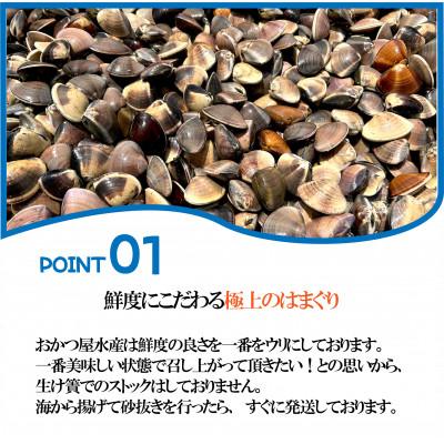 ふるさと納税 山武市 天然活はまぐり中玉1.5kg|千葉県九十九里産 |  | 03
