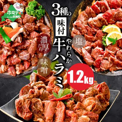 ふるさと納税 別海町 熟成 牛ハラミ焼肉セット 1.2kg 3種 小分け400g×3 牛サガリ肉好きにもおススメ 訳あり