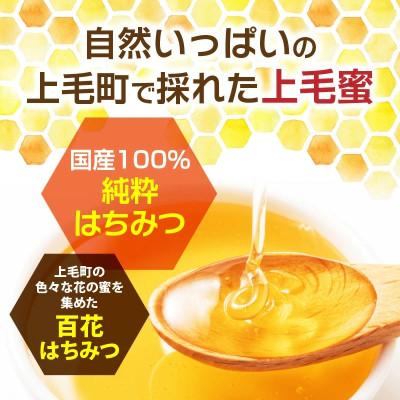 ふるさと納税 上毛町 国産はちみつ(上毛町産)600g×2本_1