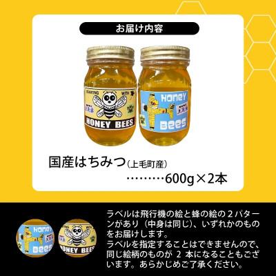 ふるさと納税 上毛町 国産はちみつ(上毛町産)600g×2本_3