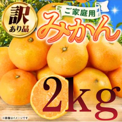 ふるさと納税 八代市 [訳ありサイズミックス]熊本県産 みかん 約2kg