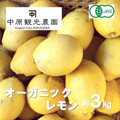 ふるさと納税 大崎上島町 中原観光農園のオーガニックレモン 約3kg [有機JAS認証] | 