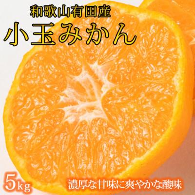 ふるさと納税 美浜町 [2026年11月下旬より発送]有田の小粒みかん5kg (S〜3Sサイズ混合)