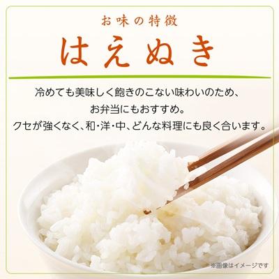 ふるさと納税 川西町 令和7年産　はえぬき10kg(5kg×2袋)【無洗米】 |  | 01