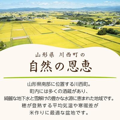 ふるさと納税 川西町 令和7年産　はえぬき10kg(5kg×2袋)【無洗米】 |  | 02
