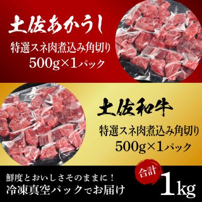 ふるさと納税 芸西村 土佐あかうし&土佐牛2種食べ比べ　スネ肉煮込み角切り500g　計2パック【TKA288】 |  | 03