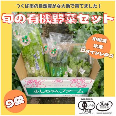 ふるさと納税 つくば市 すっぴん有機やさいセット(小松菜・水菜・ロメインレタス)