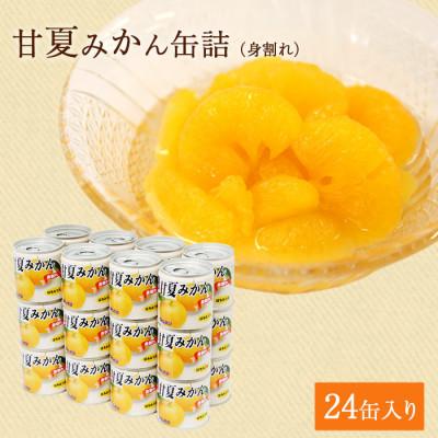 ふるさと納税 八女市 甘夏 みかん 缶詰 24缶 セット (身割れ) 国産 はちみつ入り | 
