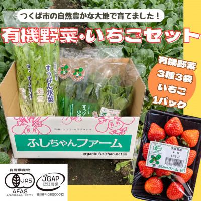 ふるさと納税 つくば市 すっぴん有機やさい・いちごセットA