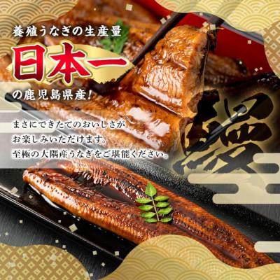 ふるさと納税 東串良町 東串良町のうなぎ蒲焼(無頭) 【メガサイズ】 1尾・300g以上 タレ山椒×3個【0104312a】 |  | 01