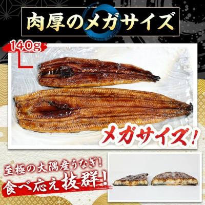 ふるさと納税 東串良町 東串良町のうなぎ蒲焼(無頭) 【メガサイズ】 1尾・300g以上 タレ山椒×3個【0104312a】 |  | 02