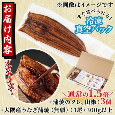 ふるさと納税 東串良町 東串良町のうなぎ蒲焼(無頭) 【メガサイズ】 1尾・300g以上 タレ山椒×3個【0104312a】 |  | 03