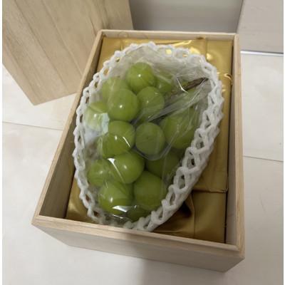 ふるさと納税 坂東市 [先行予約][桐箱] シャインマスカット1房 茨城県共通返礼品:かすみがうら市