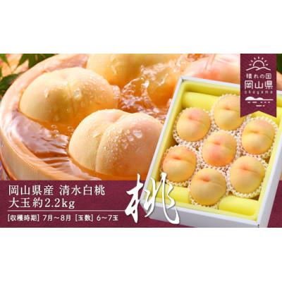 ふるさと納税 浅口市 [2026年発送]岡山県産 清水白桃 約2.2kg(大玉6〜7玉)