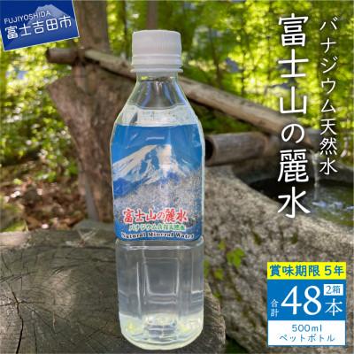 ふるさと納税 富士吉田市 バナジウム天然水 500ml×24本×2箱 「富士山の麗水」5年保存水 長期保存・防災備蓄用にも最適