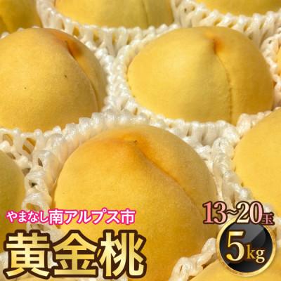 ふるさと納税 南アルプス市 山梨県南アルプス市産 高糖度 黄金桃 約5kg(13〜20玉)
