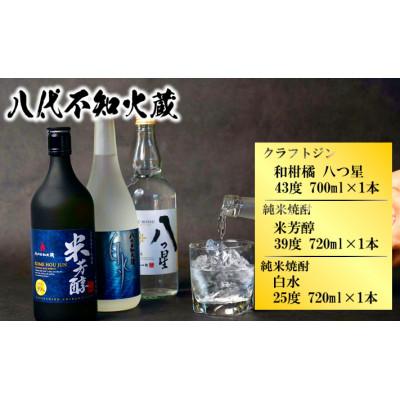 ふるさと納税 八代市 八代不知火蔵 純米焼酎 米芳醇 白水 米 720ml・八つ星和柑橘クラフトジン 700ml 計3本