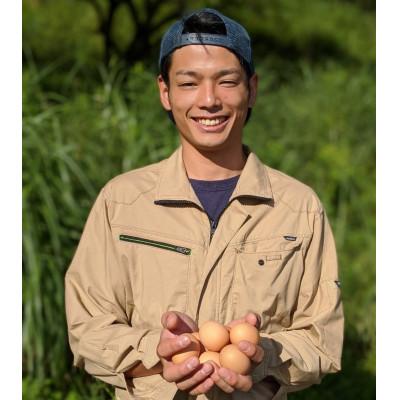 ふるさと納税 奈良市 平飼い飛鳥の卵