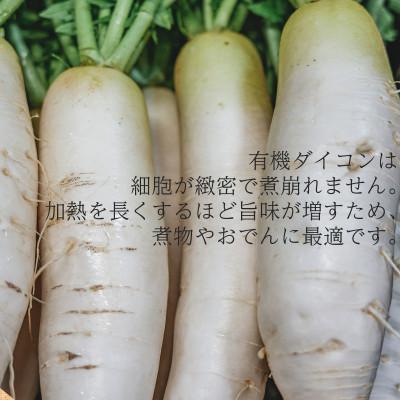 ふるさと納税 掛川市 有機大根　有機JAS認証　煮物やおでんに最適　冬の味覚(12〜3月発送) |  | 02