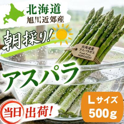 ふるさと納税 旭川市 2027年産[Lサイズ][朝採り当日発送!瑞々しく甘い!]北海道産アスパラ500g_04750