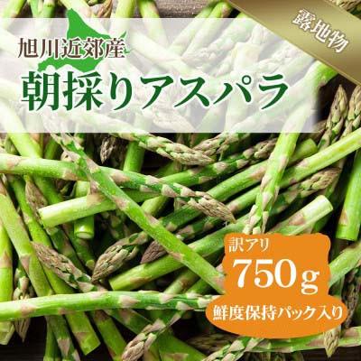 ふるさと納税 旭川市 訳ありアスパラ 約750g 旭川近郊産_04751