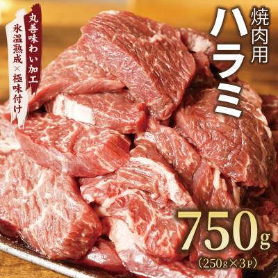 ふるさと納税 泉佐野市 [氷温熟成×極味付け]牛肉 ハラミ 750g(250g×3) mrz0249-1