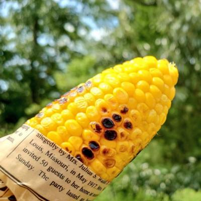 ふるさと納税 西尾市 まるで食べるコーンスープ[プレミアム味来]6本・H065-10-1