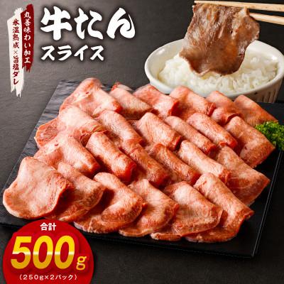 ふるさと納税 泉佐野市 [氷温熟成×旨塩ダレ]牛たん 500g スライス 焼肉用 訳あり サイズ不揃い