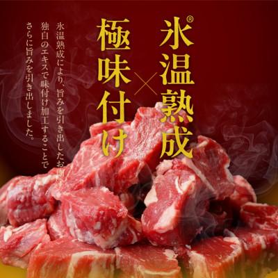 ふるさと納税 泉佐野市 【氷温熟成×特製ダレ】やわらか牛ヒレ肉