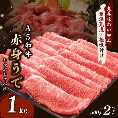 ふるさと納税 泉佐野市 [氷温熟成×極味付け][A5等級和牛]赤身スライス 1kg 小分け すき・しゃぶ用