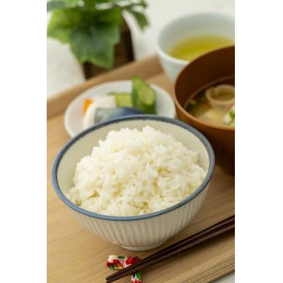 ふるさと納税 酒田市 令和6年山形県産つや姫(精米) 6kg(2kg×3袋