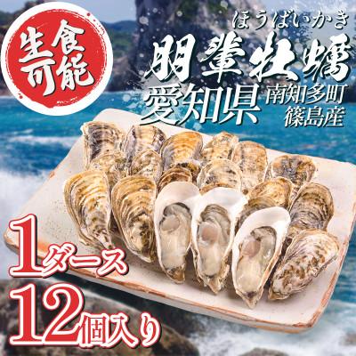 ふるさと納税 南知多町 朋輩牡蠣(生食用)1ダース