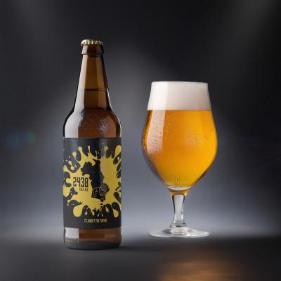 ふるさと納税 藤沢市 クラフトビール 2〜3種類 330ml 5本詰め合わせセット