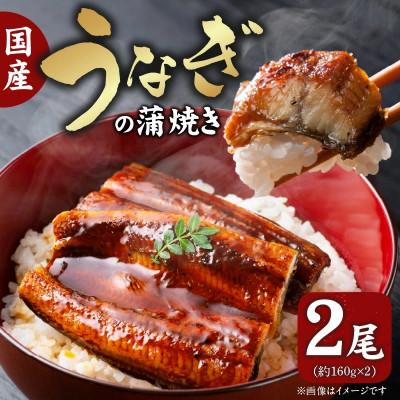 ふるさと納税 上毛町 国産うなぎの蒲焼き(約160g)×2尾