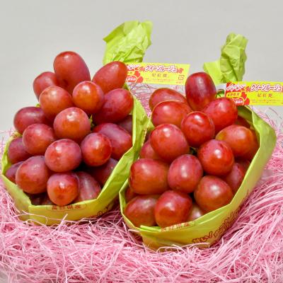 食品 長野県中野市産 ハウス栽培 クイーンルージュのみ約2kg(2~3房)